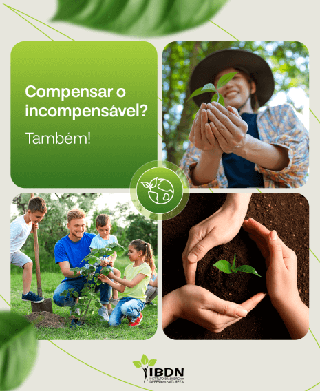 Case Social Media e Influência IBDN 1