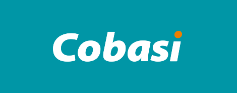 Case Social Media e Influência Cobasi 2